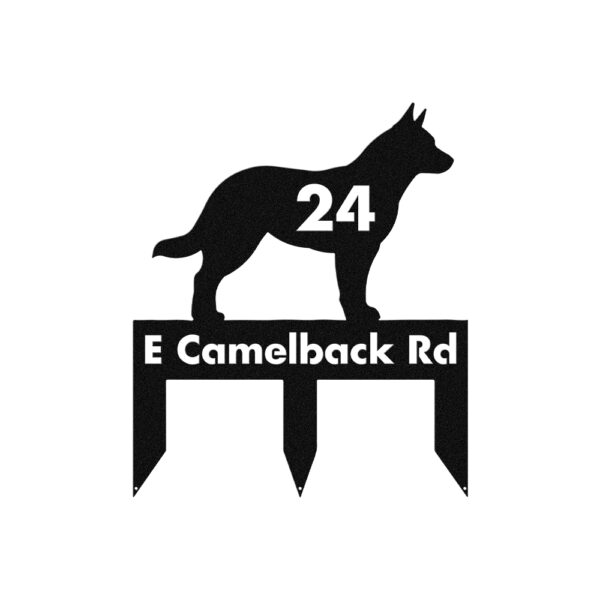Australian Cattle Dog