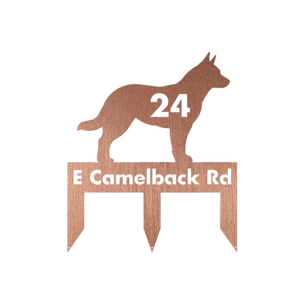 Australian Cattle Dog - Image 3