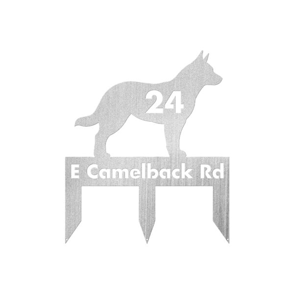 Australian Cattle Dog - Image 2